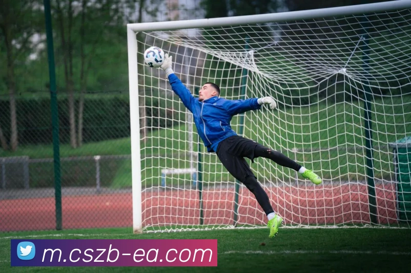 彩神争霸APP 封面图